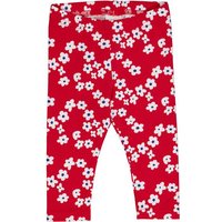 Fred`s World Babyleggings
