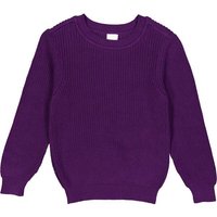 Fred`s World Strickpullover