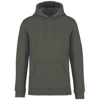 Brandless Basic Bio Hoody Nr. 4 350g/m² XXS - 4 XL (slim fit)