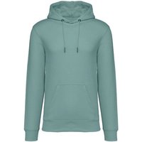 Brandless Basic Bio Hoody Nr. 4 350g/m² XXS - 4 XL (slim fit)