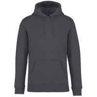 Brandless Basic Bio Hoody Nr. 4 350g/m² XXS - 4 XL (slim fit)