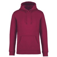 Brandless Basic Bio Hoody Nr. 4 350g/m² XXS - 4 XL (slim fit)