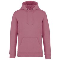 Brandless Basic Bio Hoody Nr. 4 350g/m² XXS - 4 XL (slim fit)