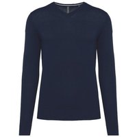 Greenspiration Umweltfreundlicher Herrenpullover mit VAusschnitt