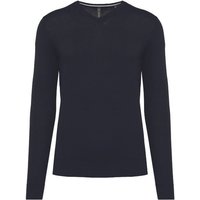Greenspired Umweltfreundlicher Herrenpullover mit V-Ausschnitt