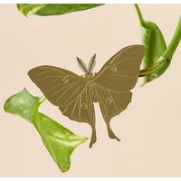 another studio Plant Animal - Design Pflanzendekoration - Figuren aus Messing