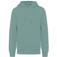 Greenspired Umweltfreundliches Unisex-Kapuzensweatshirt- French Terry 300 g/m² XXS - 4 XL