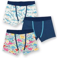 Kite Clothing Jungen Boxershorts 3er-Pack aus Bio-Baumwolle