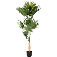 Zamas planta de material sintético 10 % de descuento Zamas planta de material sintético 10 % de descuento