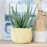 Kuas cesto 30 % de descuento Kuas cesto 30 % de descuento