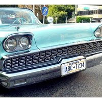 State License Plates