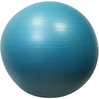 Jetzt 27% sparen Gymball Sporti 65 cm im OnFight Angebot