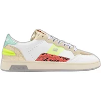 Trainers D.Franklin Match Skate