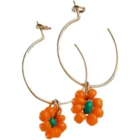 Sneakin Exclusive Deal Enjoy 18% Off Womens Earrings in 24 Colours