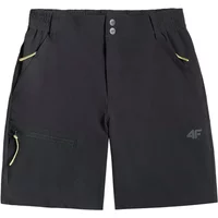 Women's shorts 4F FNK F1572 image 2