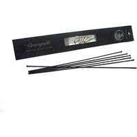 Velo Store - UK Mini spokes kit Campagnolo bullet 80 | Extra 10% off with Subscription, Postage £16.79 to UK Fedex.