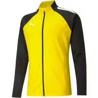Tracksuit Puma Teamliga