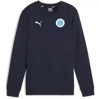 Sweatshirt child Puma teamGOAL Casuals