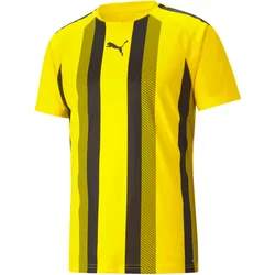 Jersey Puma Team Liga Striped