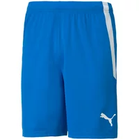 HandballStore 45% Rabatt auf Puma Team Liga Shorts Jetzt zugreifen