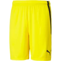 Direct Volley Profitieren Sie von 47% Rabatt auf Puma Team Liga Shorts