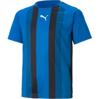 Kindertrikot Puma Team Liga Striped