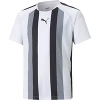 Kindertrikot Puma Team Liga Striped