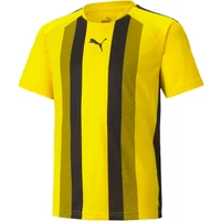Kindertrikot Puma Team Liga Striped