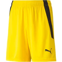FootStore Jetzt 44% Rabatt auf PUMA Team Liga KinderShorts sichern