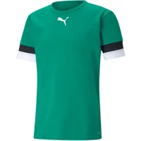 Direct Volley Jetzt 35% Rabatt auf das Puma Team Rise Jersey sichern