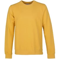Sweatshirt Crewneck Colorful Standard Classic Organic burned yellow