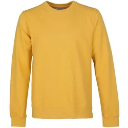 Sweatshirt Crewneck Colorful Standard Classic Organic Burned Yellow