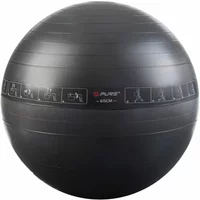 Balles d'exercices fitness Pure2Improve 65cm