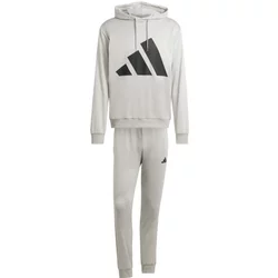 Hoodie Adidas Big Logo