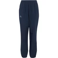 Children's waterproof Trousers adidas Terrex CLIMA365 Multi image 2