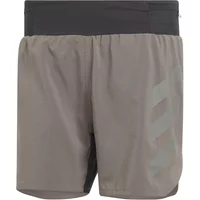 Adidas Terrex Agravic Shorts