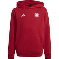 Child hoodie Bayern Munich 2024/25