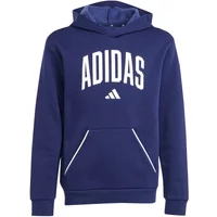 Hoodie Kinder adidas Seasonals Essentials Collegiate