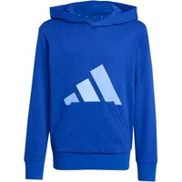 Hoodie Kinder adidas Essentials