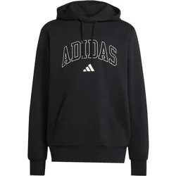 Hooded Sweatshirt Adidas Collegiate Script Graphic