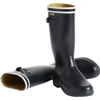 Women's rain boots Aigle Cessac DB