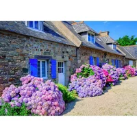 Puzzle de 1000 pièces Alipson Puzzle Maison Tradi Bretagne
