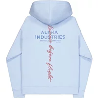 Printed hooded sweatshirt on the back Alpha Industries Signature