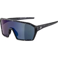 Sunglasses Alpina Ram Q-Lite image 2