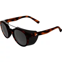 Sunglasses Alpina Glace image 2