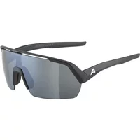 Sunglasses Alpina Turbo HR image 2