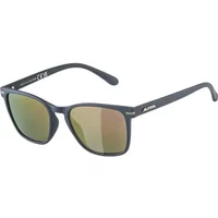 Sunglasses Alpina Yefe P image 2