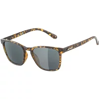 Sunglasses Alpina Yefe P image 2