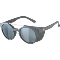 Sunglasses Alpina Glace P image 2