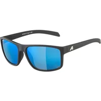 Sunglasses Alpina Nacan I P image 2